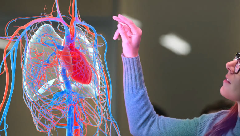 Meta - The Impact Is Real: Anthem