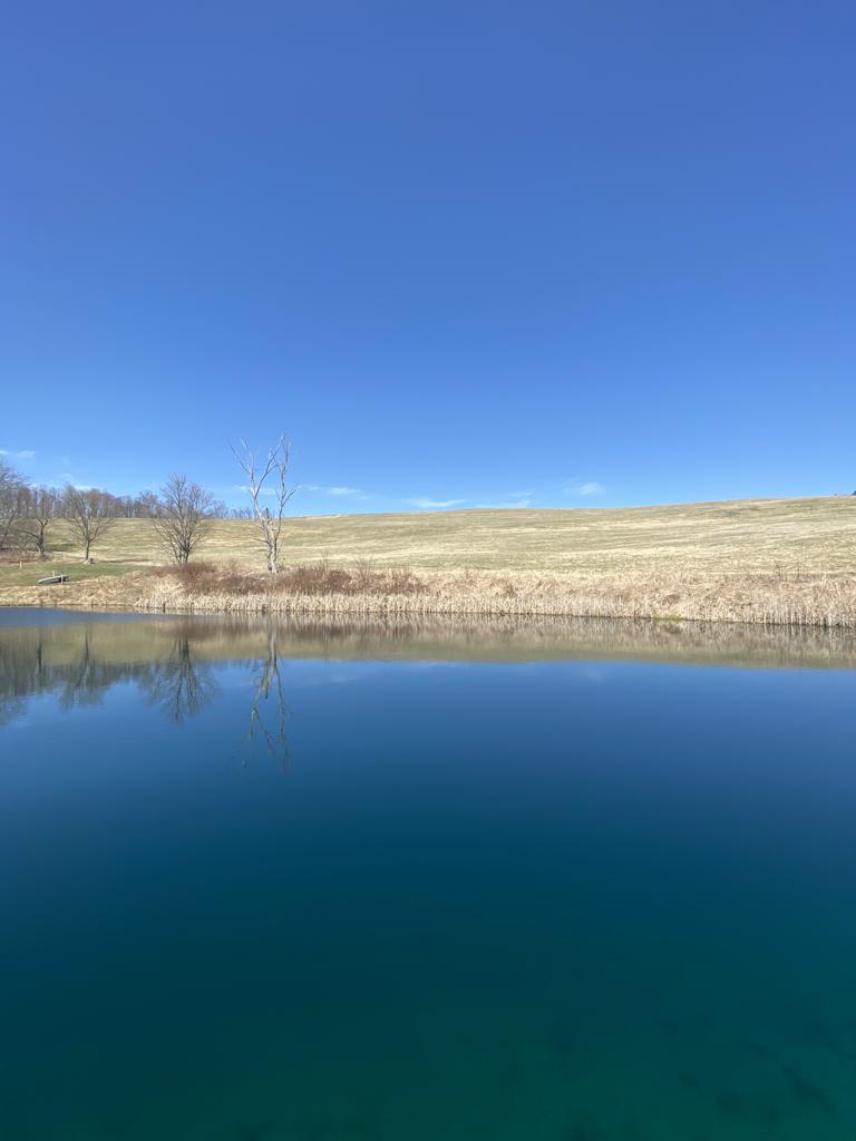 images/farm-pond_01.jpeg